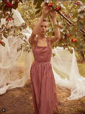 Bird & knoll stripe maxi dress